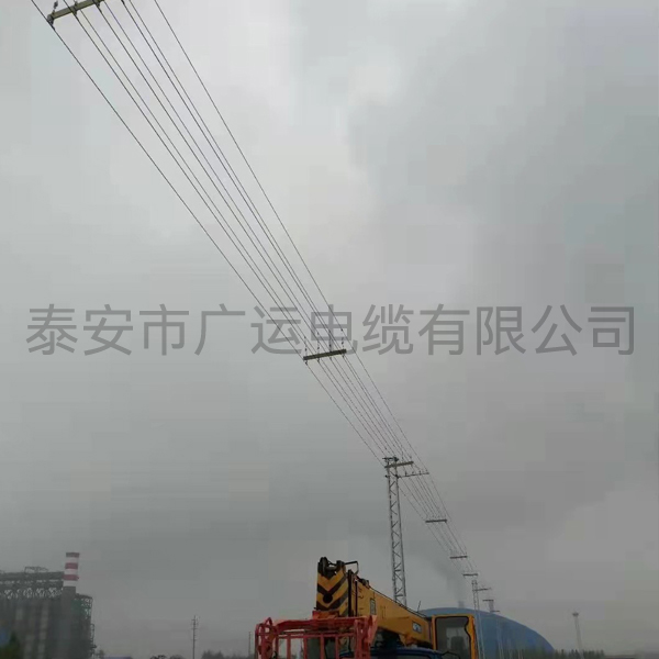 现场展示
